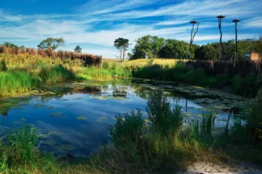 Het Zwin Natuur Park فنادق في كنوك هايست