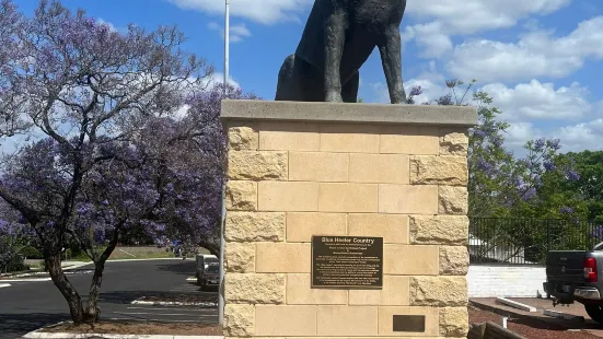 Blue Heeler Cattle Dog Statue