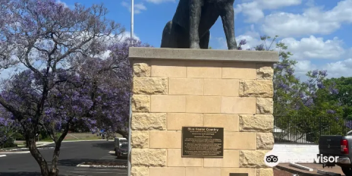 The Blue Heeler Cattle Dog Statue