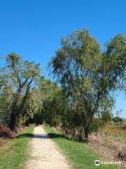 Brazos Bend State Park