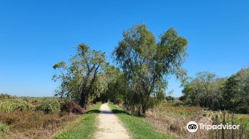 Brazos Bend State Park