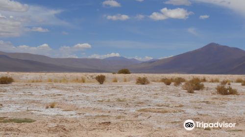 Salar de Pocitos