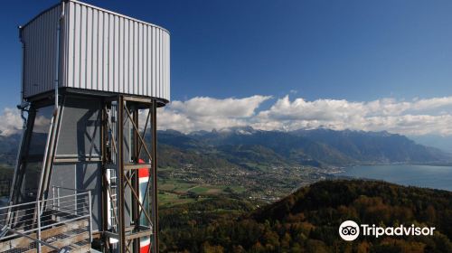 Mont Pelerin TV Tower