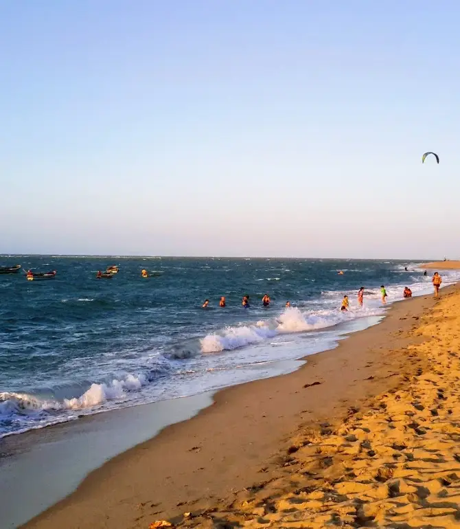 Cajueiro da Praia