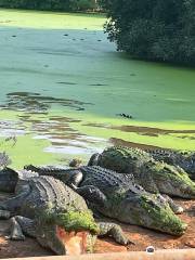 Malcolm Douglas Broome Crocodile Park