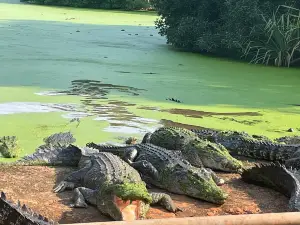 Malcolm Douglas Crocodile Park