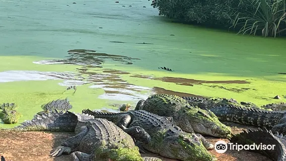 Malcolm Douglas Crocodile Park