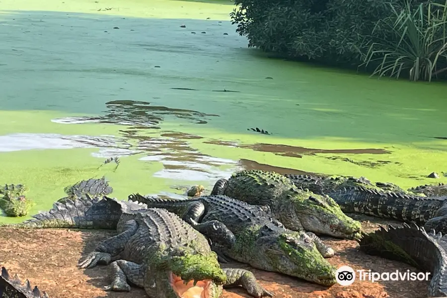 Malcolm Douglas Broome Crocodile Park