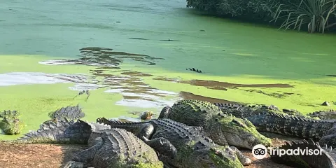 Malcolm Douglas Crocodile Park and Animal Refuge