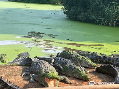 Malcolm Douglas Crocodile Park