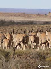 Karoo-Nationalpark