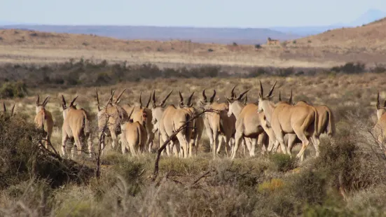 Karoo National Park