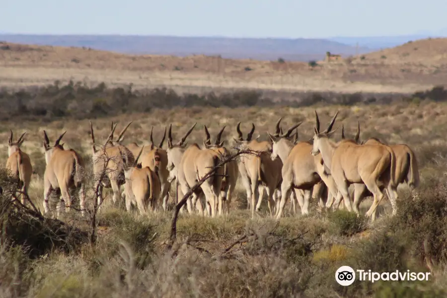 Karoo National Park