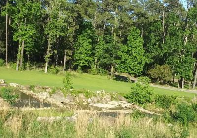 Boykin Springs at Angelina National Forest