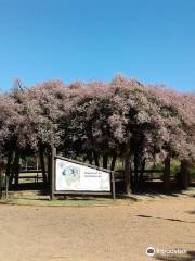 Parque das Aguas