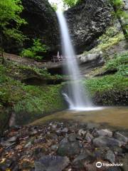 Niogataki Falls