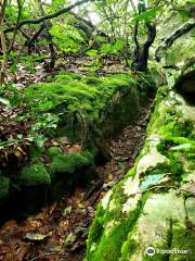 Rocktown Trailhead