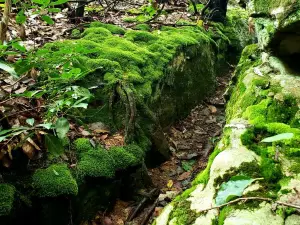Rocktown Trailhead