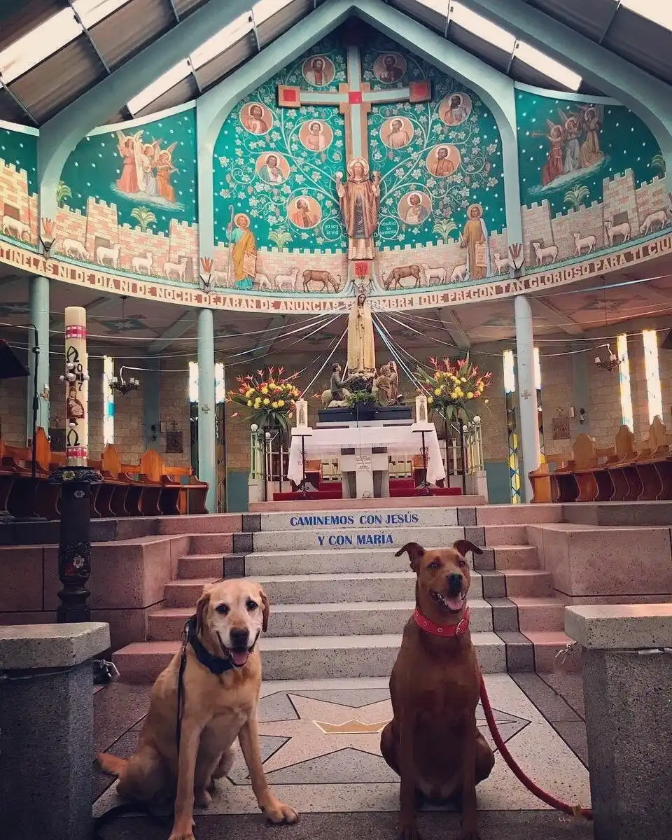Hotels near Parroquia Nuestra Senora de Fatima