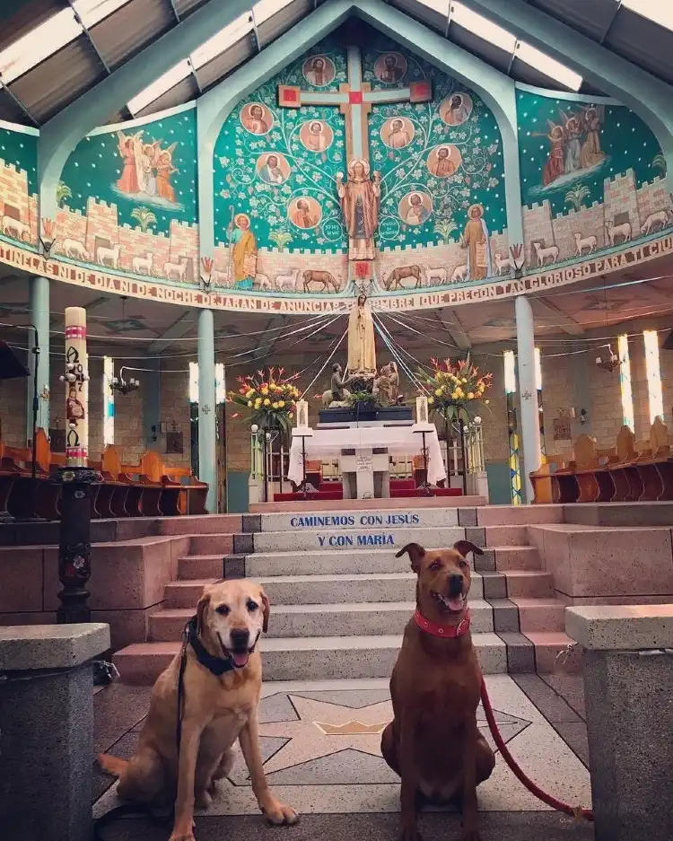 Hotels in der Nähe von Parroquia Nuestra Señora de Fatima
