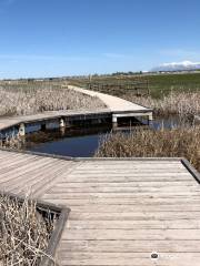 Great Salt Lake Shorelands Preserve