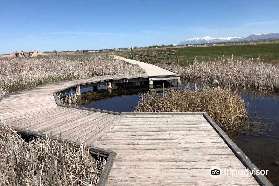 Great Salt Lake Shorelands Preserve