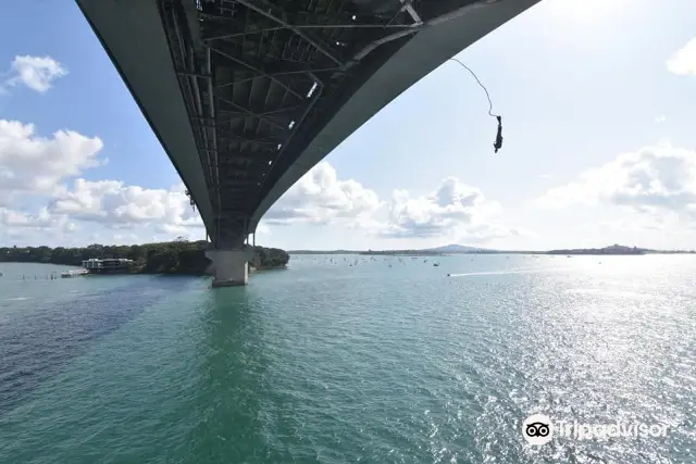 Bungee Jumping in Auckland