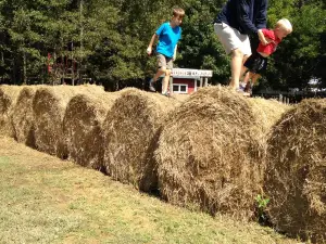 Aw Shucks Farms
