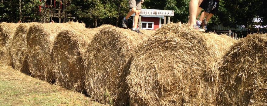 Aw Shucks Farms