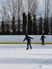 Ice Inline Sports Complex