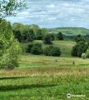 Maple Hill State Forest