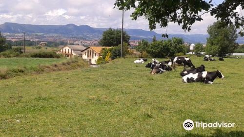 Granja Cal Rei