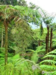 Quindío Botanical Garden