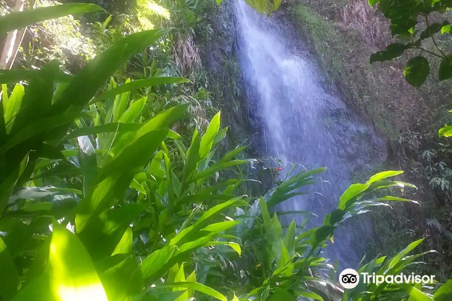 Santuario Ecológico Monteverde