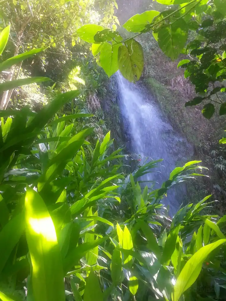 Hotels near Ecological Sanctuary