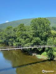 Buchanan Swinging Bridge