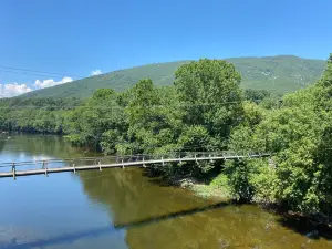 Buchanan Swinging Bridge