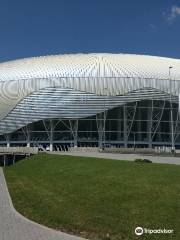 Стадион Ион Облеменко