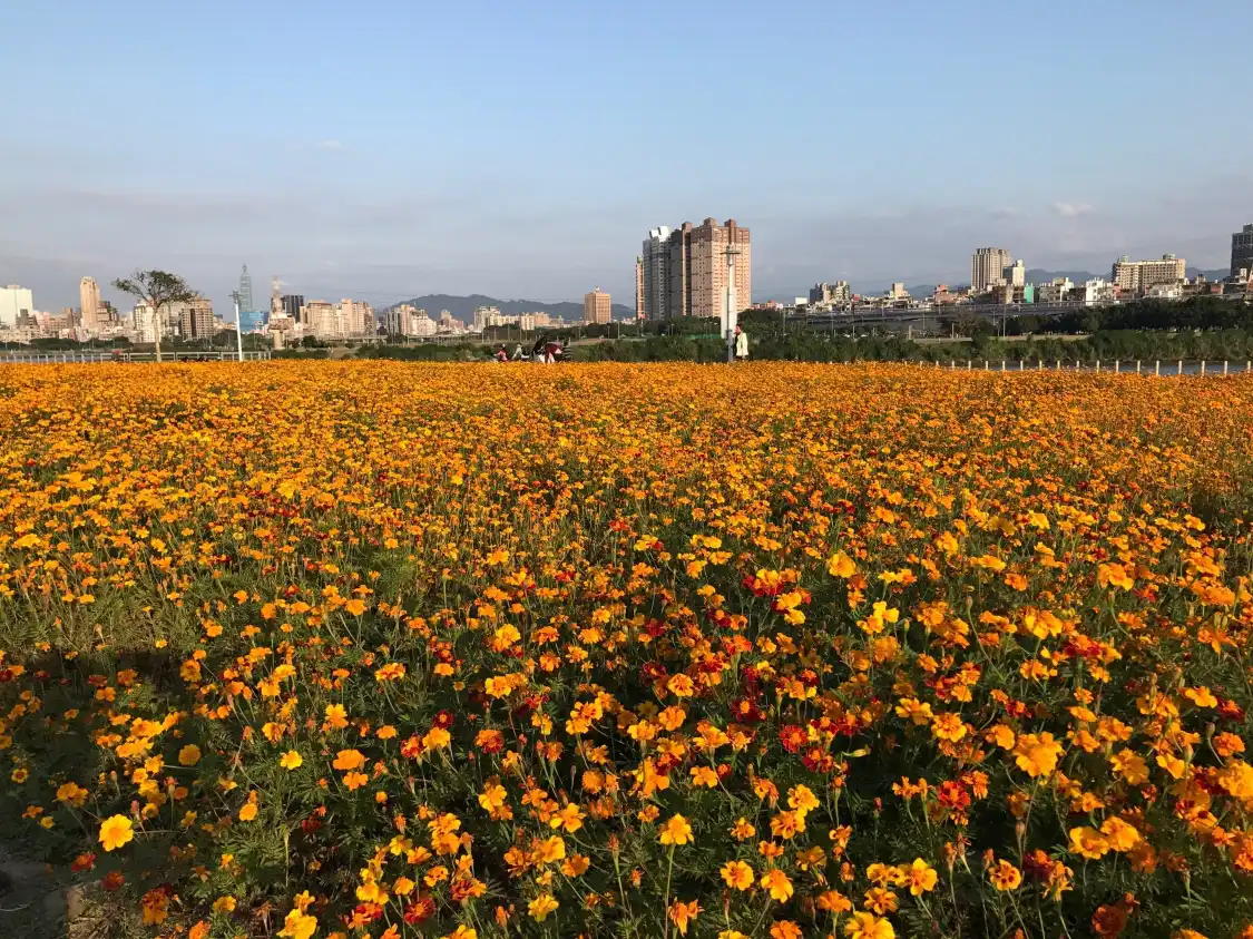 Hotel in zona Ma Chang Ting Memorial Park