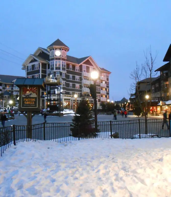 Snowshoe