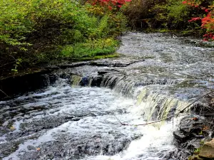 Royalton Ravine Park