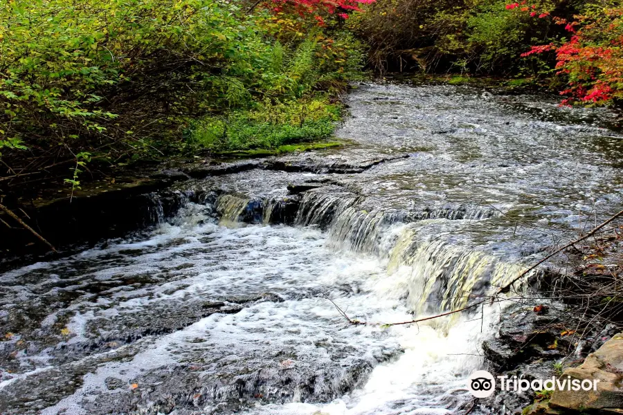 Royalton Ravine Park