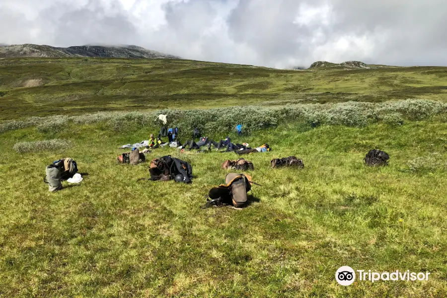 Dyrhaug Ridesenter AS, Islandshest, Fjellridning, Sylane, Horseback riding