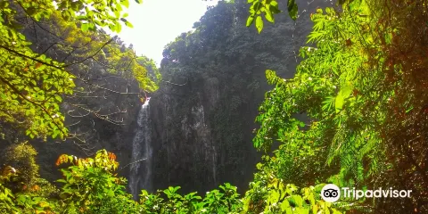 Buntot Palos Falls