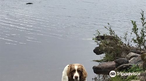 Lough Currane