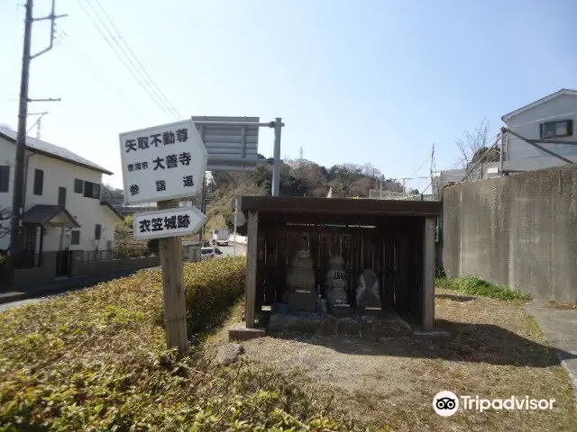 Kinugasa Castle