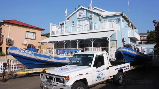 Aliwal Dive Centre