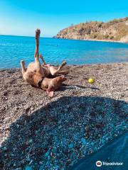 Spiaggia di Acquarilli