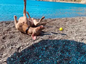 Spiaggia di Acquarilli