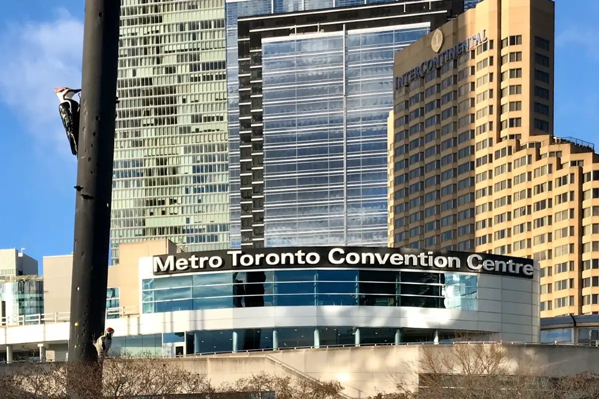 Metro Toronto Convention Centre